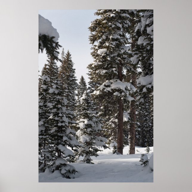 Póster Snowy Woods (Frente)