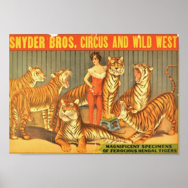 Póster Snyder Bros. Circo y el salvaje oeste (Frente)