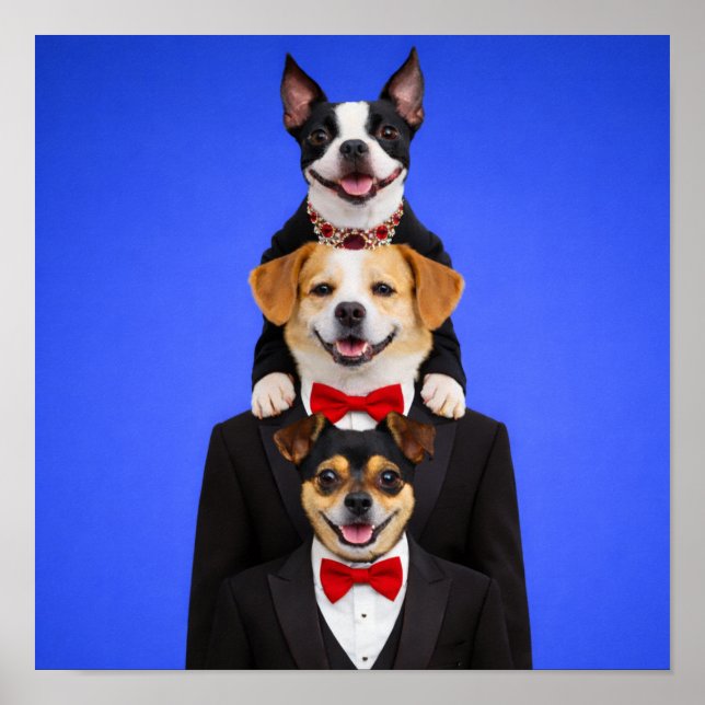 Póster "So Happy Together" (Frente)