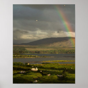 Póster So much Ireland