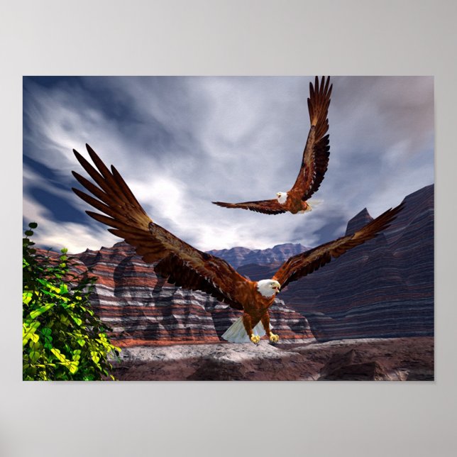 Póster Soaring (Frente)