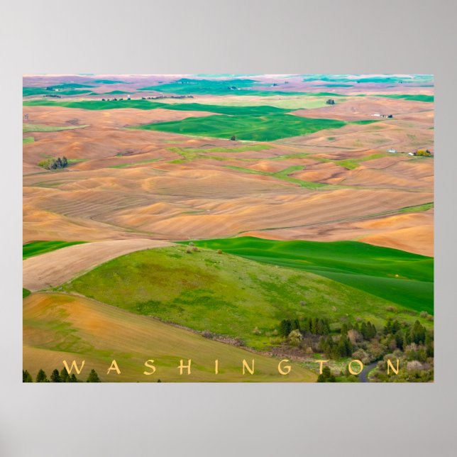Póster Sobre el pájaro pintado de Steptoe Butte (Frente)