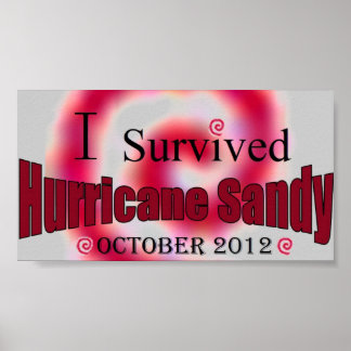 Póster Sobreviví al huracán Sandy Poster