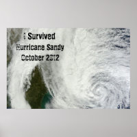 Sobreviví al huracán Sandy Poster