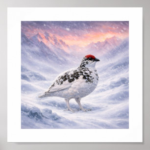 Póster Sobreviviendo la Tormenta — Lagópodo en los Alpes