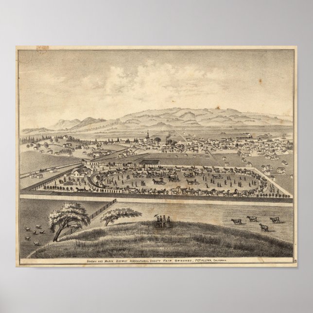 Póster Sociedad Agrícola del Distrito de Sonoma y Marin (Frente)