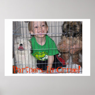 Póster ¡Socios En El Crimen!