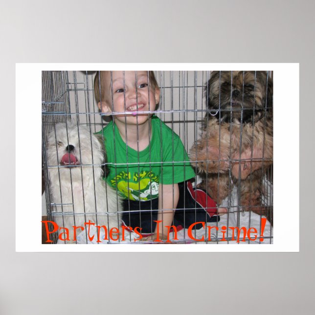 Póster ¡Socios En El Crimen! (Frente)