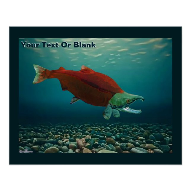 Póster Sockeye Salmon (Anverso)