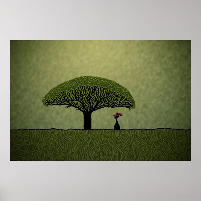Póster Socotra (Frente)