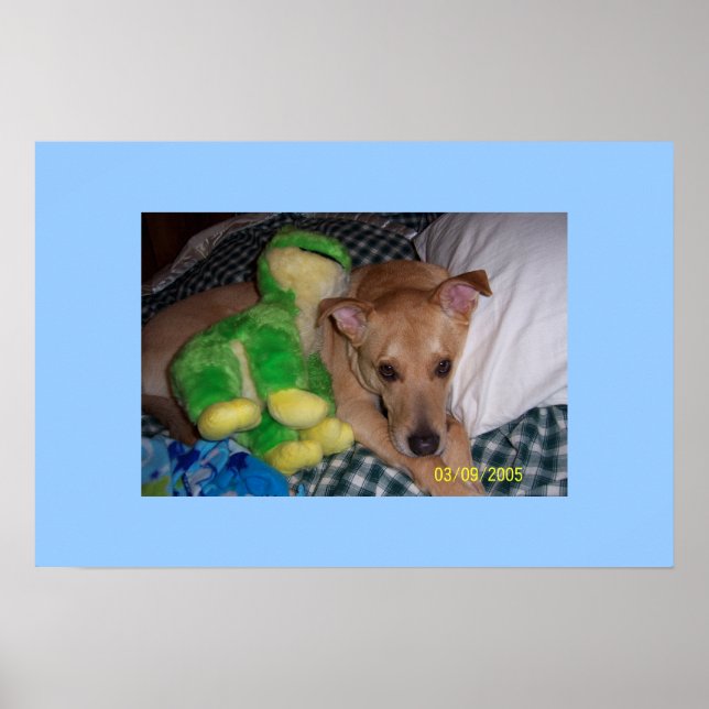 Póster Socrates (Frente)