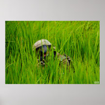 Sofás de aire en cuchillas de pasto aserrado