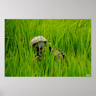 Póster Sofás de aire en cuchillas de pasto aserrado