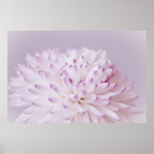 Póster Soft Pastel Flower Photography