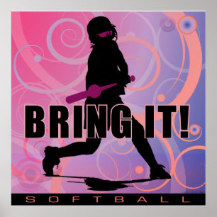 Póster softball101
