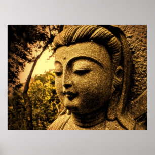 PÓSTER SOFTPEACE