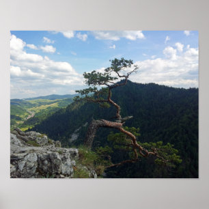 Póster Sokolica, Pieniny