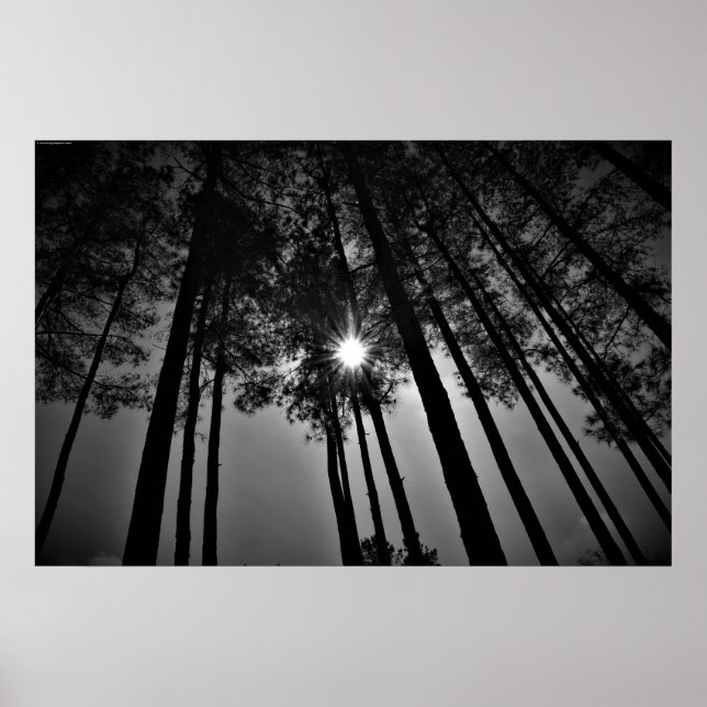 Póster Sol, (Frente)