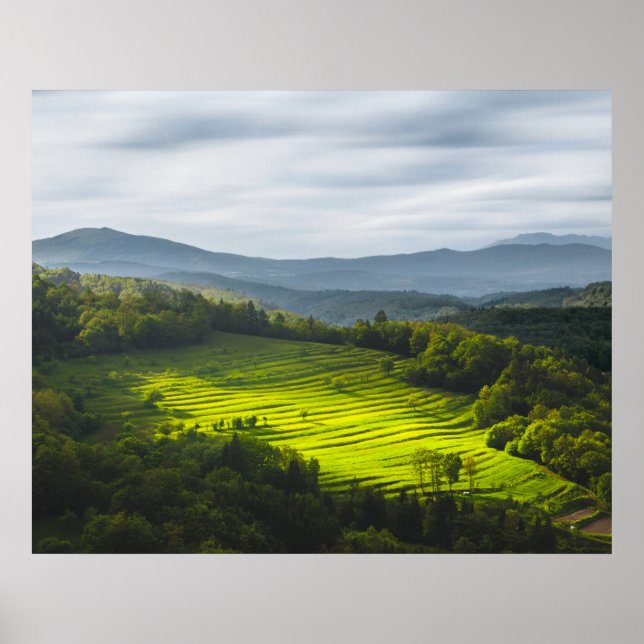 Póster Sol brillando en el campo de las terrazas (Frente)