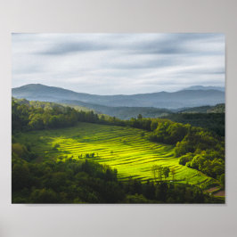 Póster Sol brillando en el campo de las terrazas