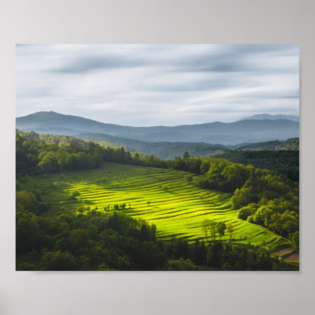 Póster Sol brillando en el campo de las terrazas (Frente)