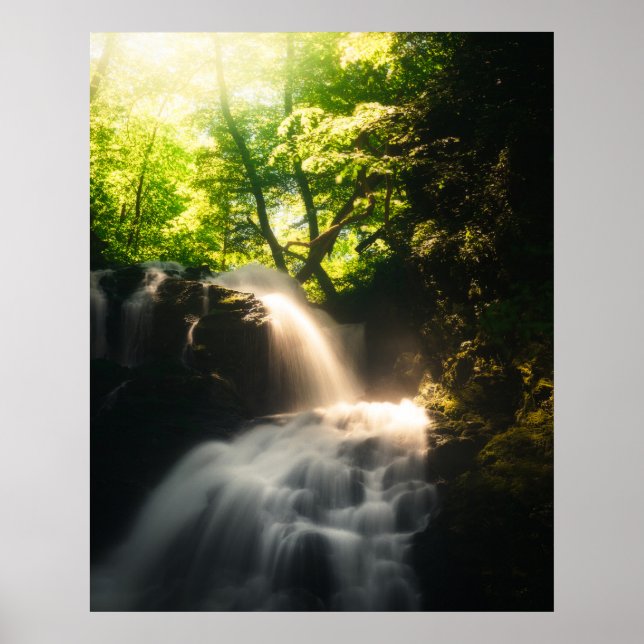Póster Sol brillando en una cascada mágica (Frente)