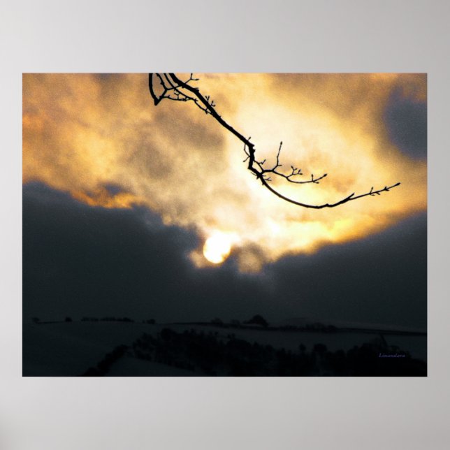 Póster Sol de invierno (Frente)