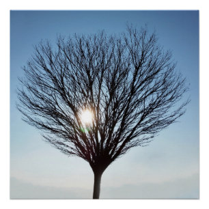 Póster sol de invierno