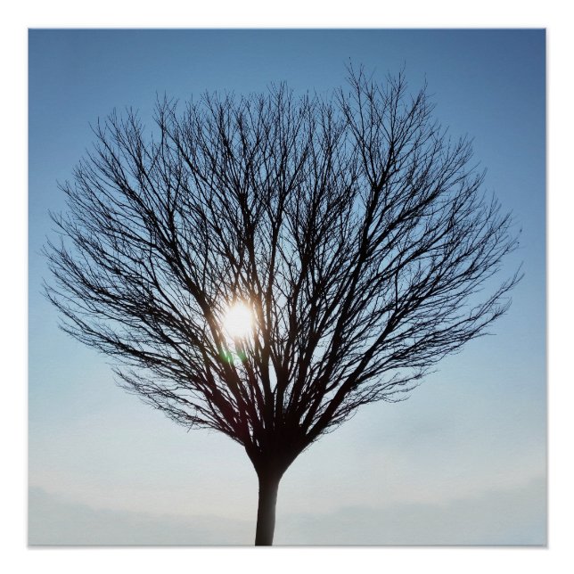 Póster sol de invierno (Anverso)