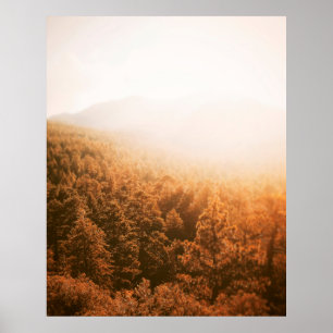 PÓSTER SOL DE ORO SOBRE UN BOSQUE