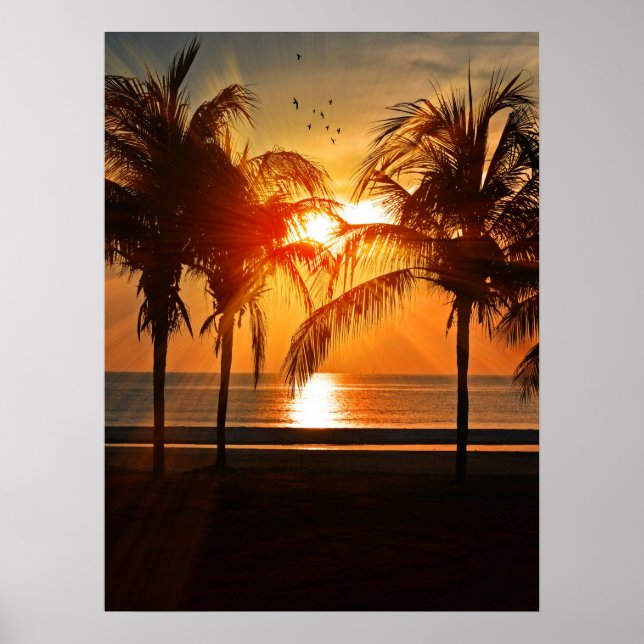 PÓSTER SOL DE PLAYA TROPICAL 18X24 POSTER (Frente)