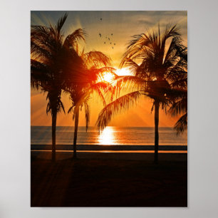 PÓSTER SOL DE PLAYA TROPICAL 8 X 10 POSTER