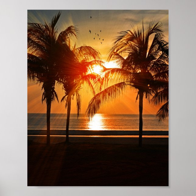 PÓSTER SOL DE PLAYA TROPICAL 8 X 10 POSTER (Frente)