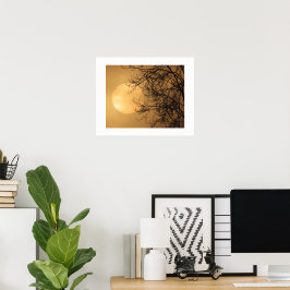 Póster Sol de primera hora de la mañana