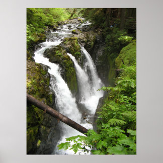 Póster Sol Duc Falls