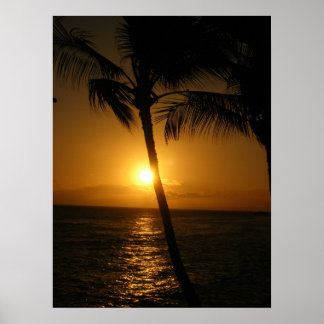 Póster Sol en los árboles, bajando