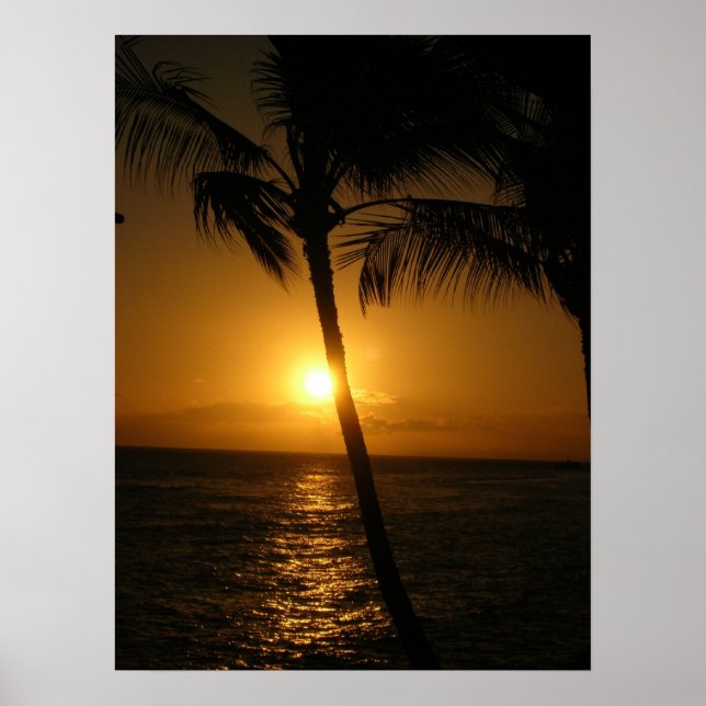 Póster Sol en los árboles, bajando (Frente)