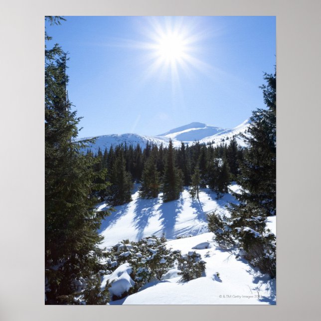 Póster Sol invernal 5 (Frente)