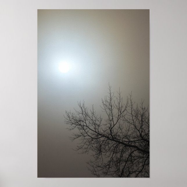 Póster Sol, niebla, árbol - Ohio (Frente)