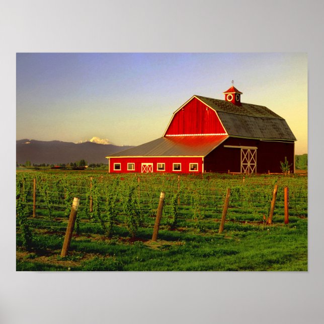 Póster Sol nocturno en un granero en Skagit de Washington (Frente)