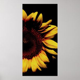 Póster Sol oscuro