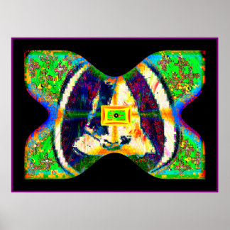 Póster SOLARiSBUTTERFLY