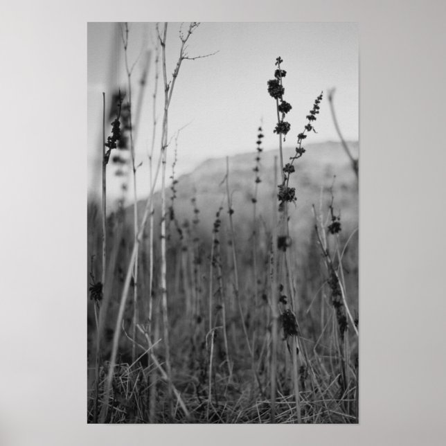 Póster soledad (Frente)