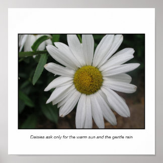 Póster Solicitudes simples