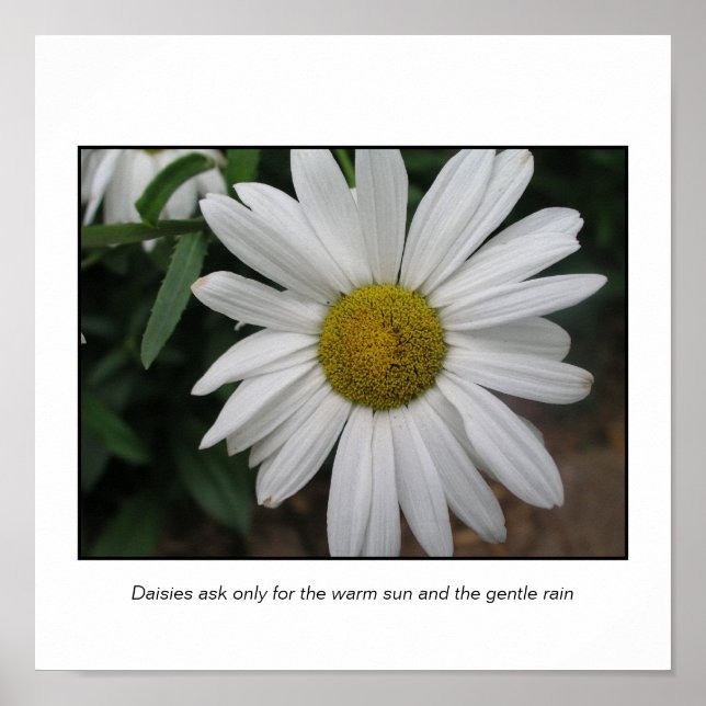 Póster Solicitudes simples (Frente)