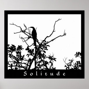 Póster Solidez
