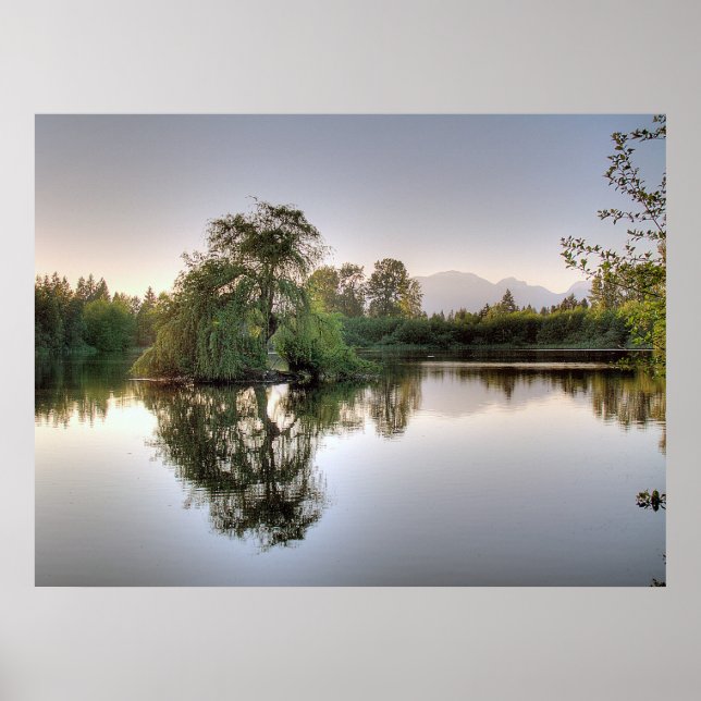 Póster Solidez (Frente)