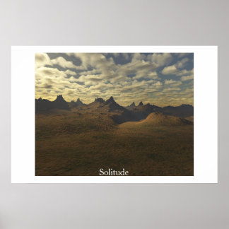 Póster Solidez