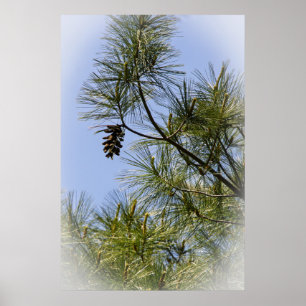 Póster Solitario