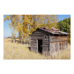 Póster Solitario Little Shed